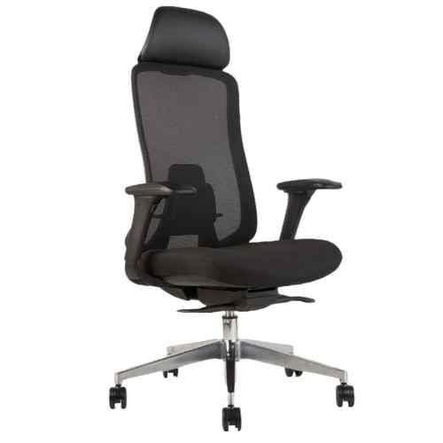 Ergoluxe Fido ergonomic mesh chair